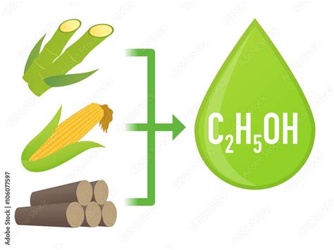 Yemenite Yam: Unveiling its Secrets for Biofuel and Starch Production!