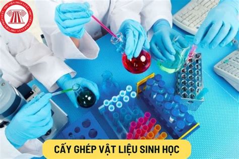 Cao Su: Vật Liệu Sinh Học Không Thể Thiếu Trong Công Nghiệp Ô Tô Hiện Đại!