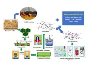  NanoCellulose -  Vật liệu xanh cho tương lai của bao bì và vật liệu xây dựng!