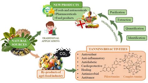  Tannin – Khám Phá Tiềm năng của Chất Chống Oxy hóa trong Công Nghệ Thực Phẩm!