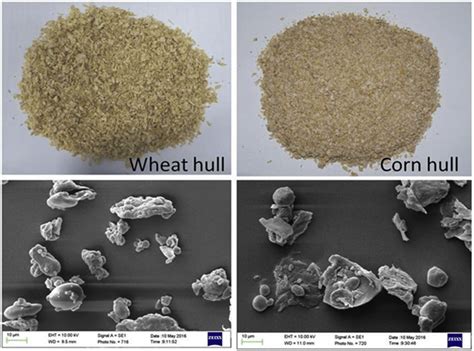  Wheat Bran - Khám Phá Tiềm Năng Công Nghiệp Của Vỏ Lúa Mì